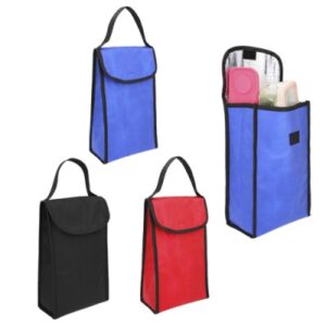 Hieleras termicas promocionales precios y mexico