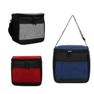 Hieleras termicas para promocionales precios y algarin