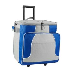 Hieleras termicas para promocionales con tu marca