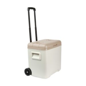 Hieleras promocionales y publicitarias algarin